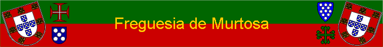 Freguesia de Murtosa