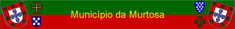 Municpio da Murtosa