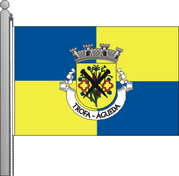 Bandeira da freguesia de Trofa