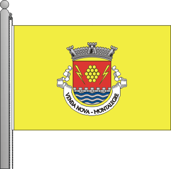 Bandeira da freguesia de Venda Nova