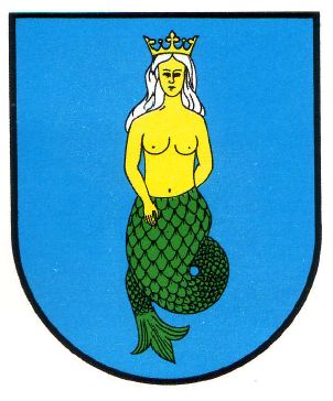 Arms of Stara Błotnica