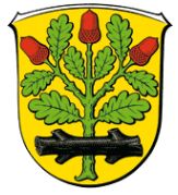 Wappen von Langen (Hessen) / Arms of Langen (Hessen)