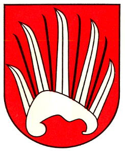 Wappen von Lanzenneunforn / Arms of Lanzenneunforn