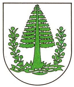 Wappen von Lauter (Lauter-Bernsbach) / Arms of Lauter (Lauter-Bernsbach)