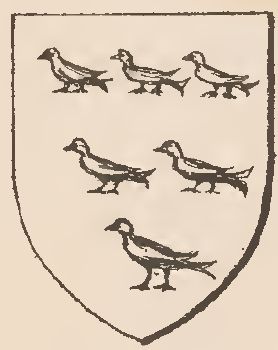 Arms of John Arundel