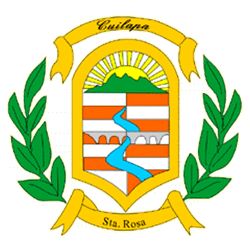 Arms of Santa Rosa (departement)