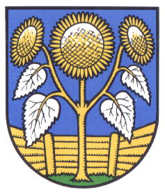 Wappen von Blumenhagen / Arms of Blumenhagen