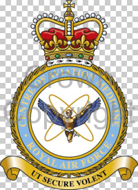 File:Medical Services, Royal Air Force.jpg