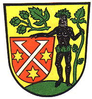 Wappen von Neuhof an der Zenn / Arms of Neuhof an der Zenn