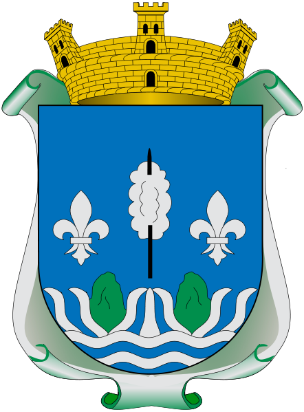 Arms of El Salto