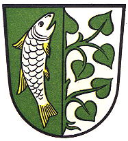 Wappen von Immenstadt im Allgäu / Arms of Immenstadt im Allgäu