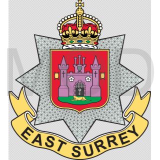 Coat of arms (crest) of the The East Surrey Regiment, British Army