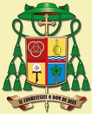 Arms of Júlio César Souza de Jesus