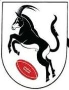 Coat of arms (crest) of White River Rugby Club