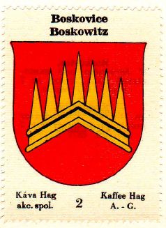 Arms of Boskovice