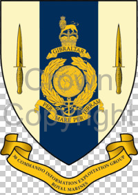 Coat of arms (crest) of the 30 Commando Information Exploitation Group, RM
