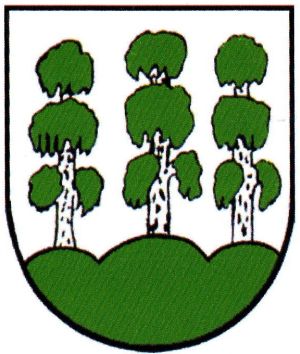 Wappen von Birkenhügel / Arms of Birkenhügel