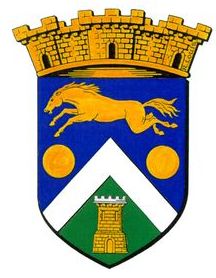 Blason de Allonnes (Sarthe) / Arms of Allonnes (Sarthe)