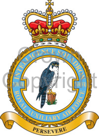 No 7630 (Volunteer Reserve) Intelligence Squadron, Royal Auxiliary Air Force.jpg