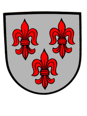 Wappen von Hofsgrund/Arms of Hofsgrund