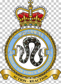 Coat of arms (crest) of the No 26 Squadron, Royal Air Force Regiment