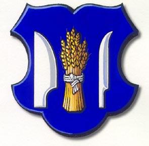 Arms of Bešenovo