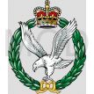 Army Air Corps, British Army.jpg
