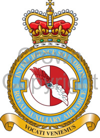 Coat of arms (crest) of the No 7010 (Volunteer Reserve) Intelligence Squadron, Royal Auxiliary Air Force