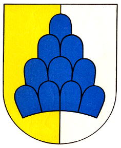 Wappen von Salenstein