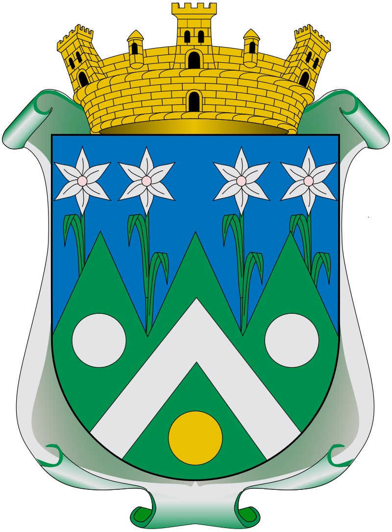 Arms of Magdalena (Jalisco)