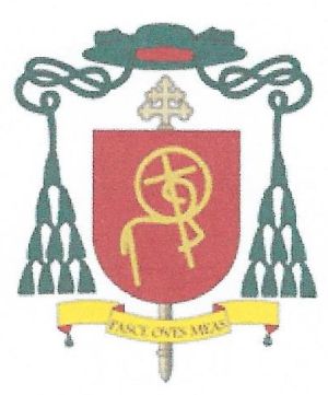 Arms (crest) of José Víctor Manuel Valentín Sánchez Espinoza