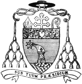 Arms of Manuel Mendes da Conceição Santos