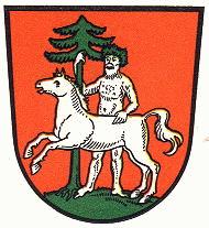Wappen von Wildemann/Arms of Wildemann