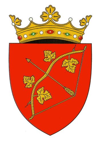 Coat of arms of Hîncești (district)