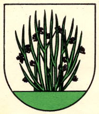Arms of Binzen (Einsiedeln)