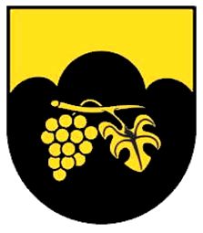 Wappen von Hüllenberg / Arms of Hüllenberg