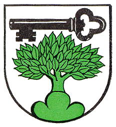 Wappen von Steinenberg