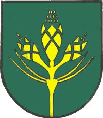 Wappen von Wildermieming/Arms (crest) of Wildermieming