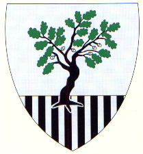 Blason de Tortequesne/Arms of Tortequesne