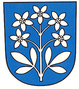 Wappen von Schleinikon / Arms of Schleinikon