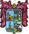 Arms of Coronel Bogado