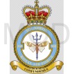 No 360 Squadron, Royal Air Force.jpg