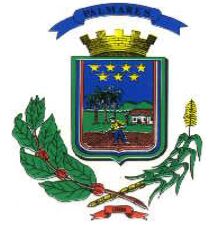 Arms of Palmares (Alajuela)