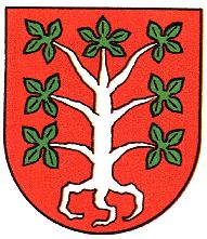 Wappen von Entlebuch (Luzern) / Arms of Entlebuch (Luzern)