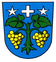 Arms of Brigerbad