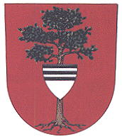 Arms of Týniště nad Orlicí