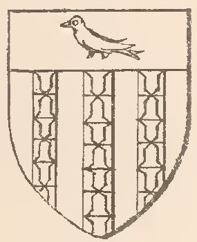 Arms of William of Blois (I)