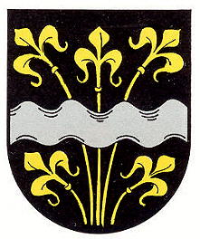 Wappen von Rodenbach (Ebertsheim) / Arms of Rodenbach (Ebertsheim)