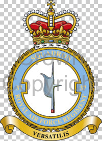 Coat of arms (crest) of the No 37 Squadron, Royal Air Force Regiment