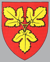 Arms of Fyn